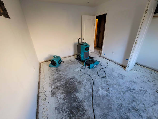 Fire Damage Restoration in Montevideo, MN