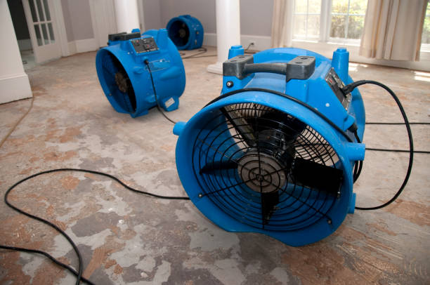 Best Sewage cleanup and water damage restoration  in Montevideo, MN