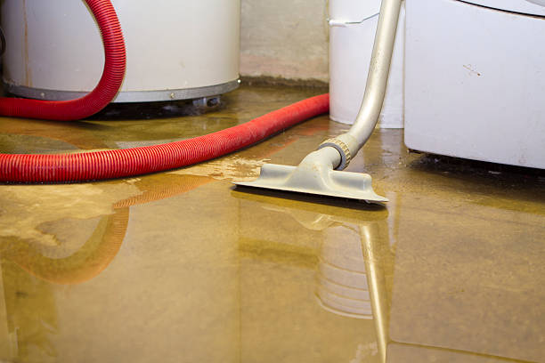 Best Flood damage cleanup  in Montevideo, MN
