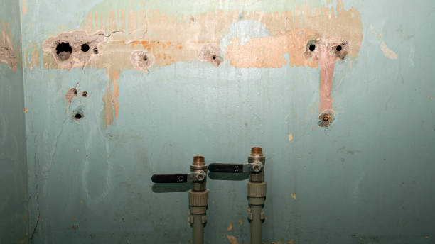 Best Professional water damage repair  in Montevideo, MN