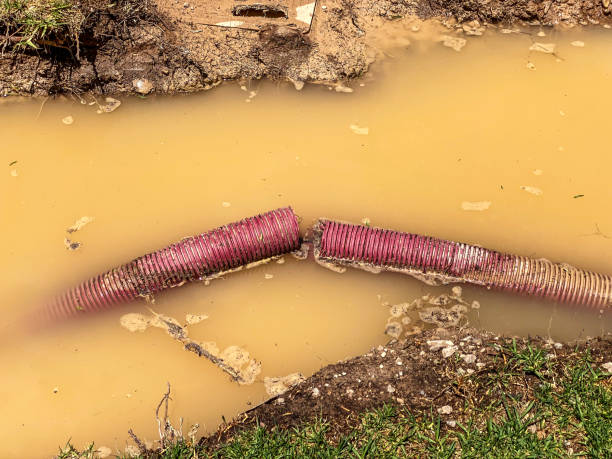 Best Residential water damage restoration  in Montevideo, MN